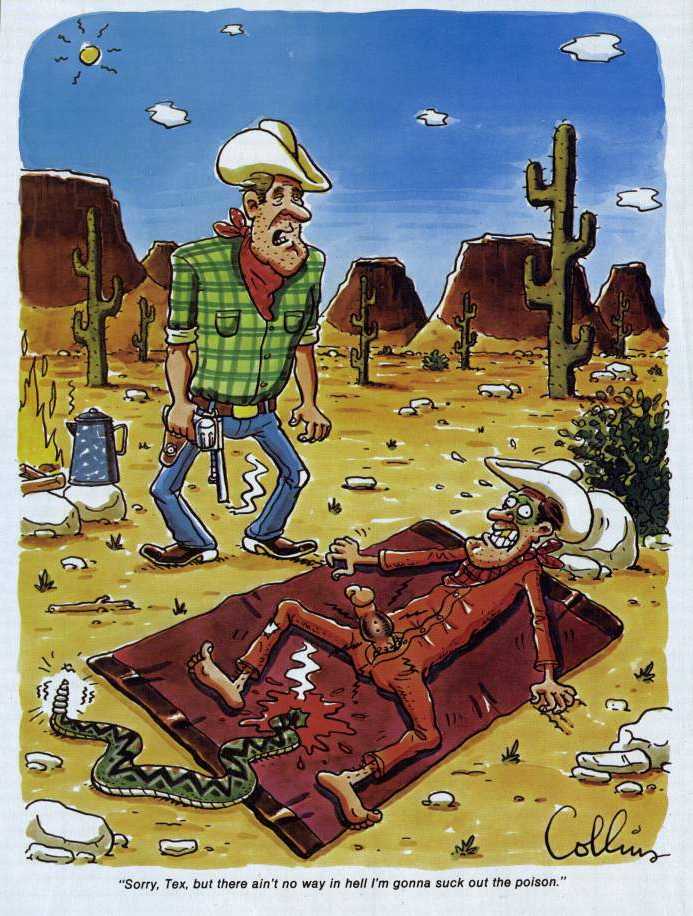 Snakebite[1].jpg (94658 bytes)